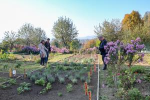 užitni in čutni parki